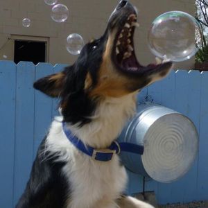 Meet your Posher, Katrina